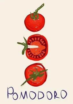 Tomatoes. Vegetables, cross-section of a tomato, eco-friendly product. Poste Illustration