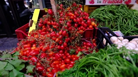 Tomatoes of Vesuvius Stock Footage 135232094