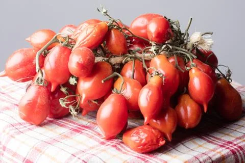 Tomatoes of Vesuvius Foto stock