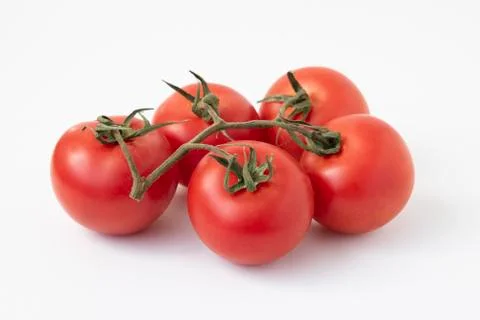 Tomatoes on the Vine with a clipping path, isolated on white. Stock Photos