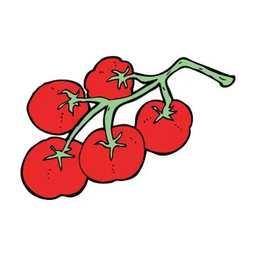 Tomatoes on vine illustration Stock Illustration