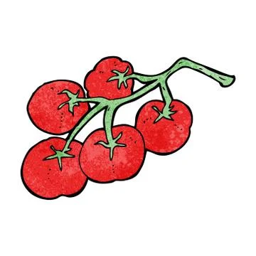 Tomatoes on vine illustration Stock Illustration