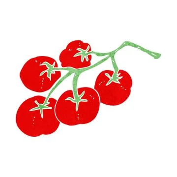 Tomatoes on vine illustration Stock Illustration