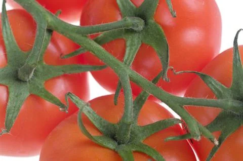 Tomatoes on vine Stock Photos