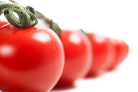 Tomatoes on the vine 写真素材