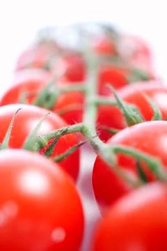 Tomatoes on the vine Stock Photos