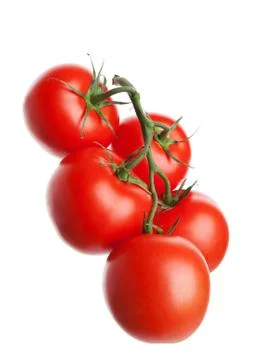Tomatoes on the vine Stock Photos