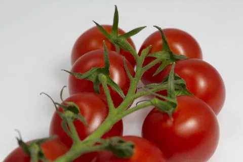 Tomatoes on the Vine Stock Photos
