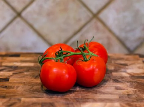 Tomatoes on a vine Stock Photos