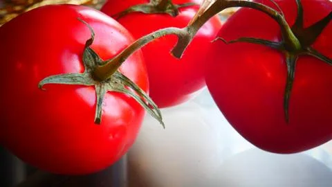 Tomatoes on the vine Stock Photos