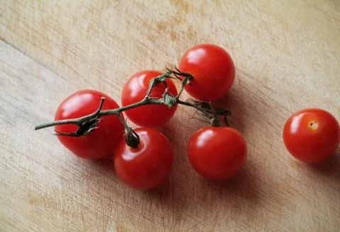Tomatoes on a vine Stock Photos