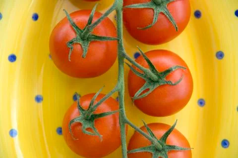 Tomatoes on the vine Stock Photos