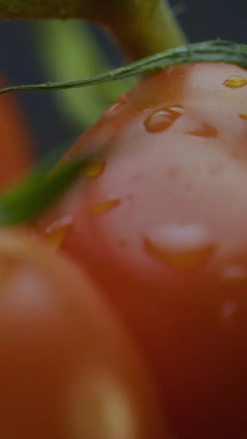 Tomatoes With Water Drops Macro Shooting Vertical Video 스톡 동영상 310955738