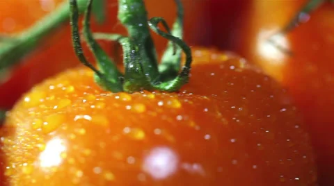 Tomatoes with water drops. Slider shot Video stock 35916088