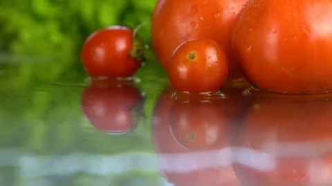 Tomatoes on the water Video stock 85178549