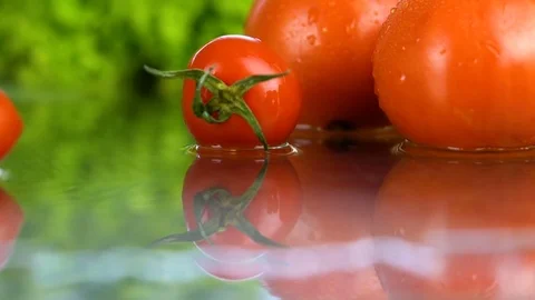 Tomatoes in the water Stock-Footage 85178630