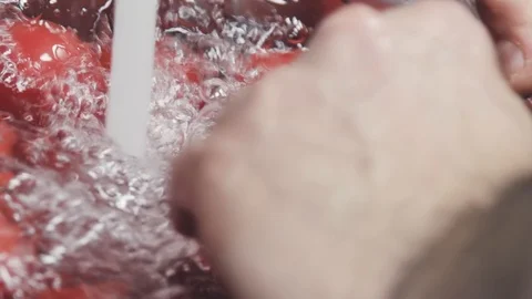 Tomatoes in the water Stock Footage 114211306