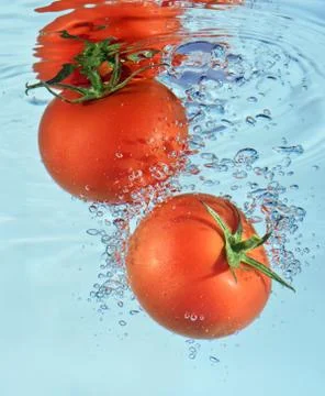 Tomatoes in water Stock Photos