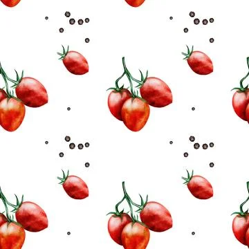 Tomatoes Watercolor Pattern. Hand drawn cherry tomatoes on a branch with black Stock Illustration