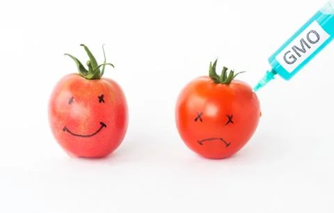 Tomatoes on a white background with faces in which are pricked from a syringe Stock-Fotos