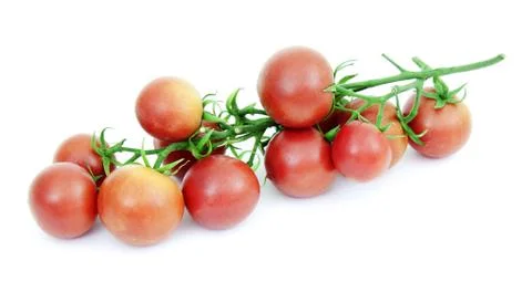 Tomatoes is on a white background Stock Photos