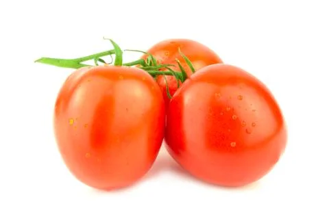 Tomatoes on white background Stock Photos