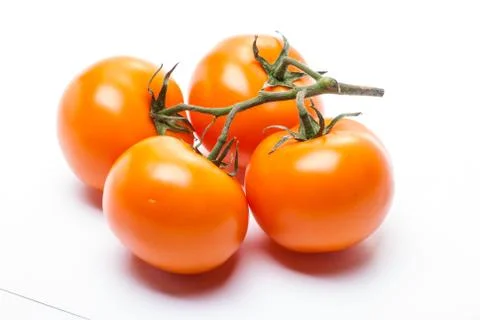 Tomatoes on a white background Stock Photos