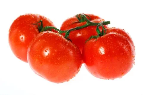 Tomatoes on white background Stock Photos