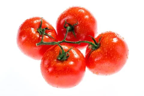 Tomatoes on white background Stock Photos