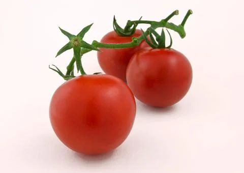 Tomatoes on a white background Stock-Fotos