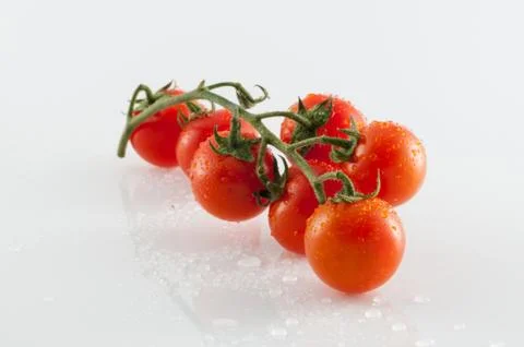 Tomatoes on white background Stock Photos