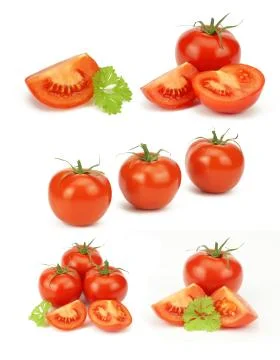 Tomatoes on a white background Stock Photos