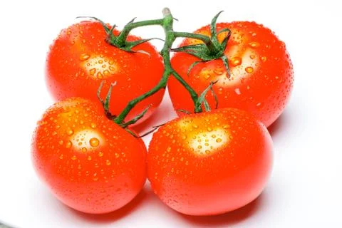 Tomatoes on a white background Stock Photos