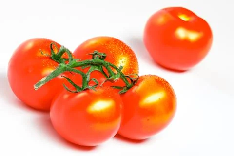 Tomatoes on a white background Stock Photos