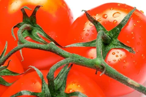 Tomatoes on a white background Stock Photos