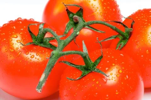 Tomatoes on a white background Stock Photos