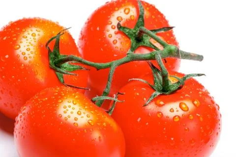 Tomatoes on a white background Stock Photos