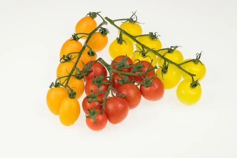 Tomatoes on a white background Stock Photos