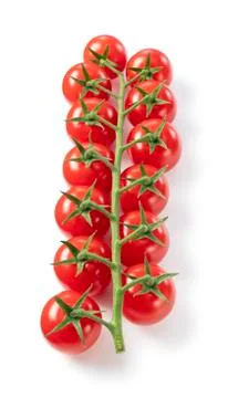 Tomatoes on a white background Stock Photos