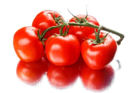 Tomatoes on white background Stock Photos