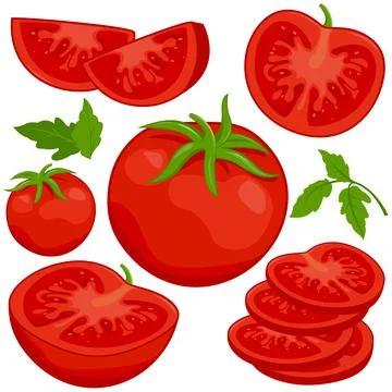 Tomatoes on white background. Vector illustration Stock Illustration
