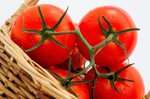 Tomatoes in a wicker basket Stock Photos