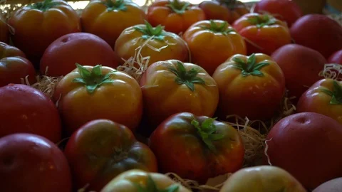 Tomatoes in a wooden box Video stock 105950806