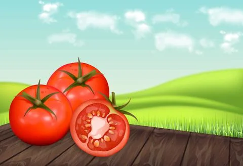 Tomatoes on wooden table Vector realistic. Green eco background. Detailed 3d  Stock Illustration