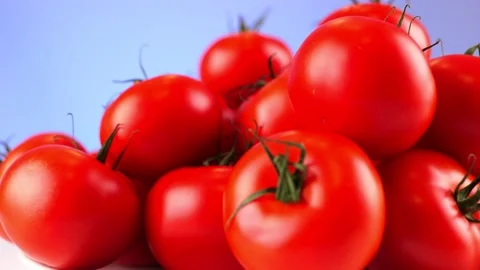 Tomatoes1 Stock Footage 140358736