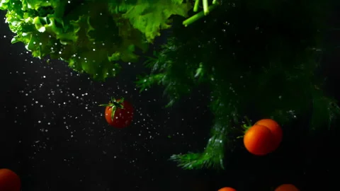 Tomatoes,and lettuce fall into the water 스톡 동영상 232847769