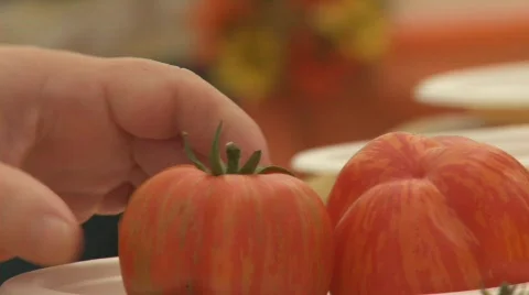 TomatoPickup Stock Footage 663442
