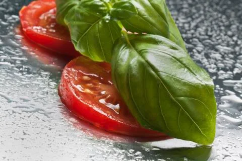 Tomatos and basil Stock Photos