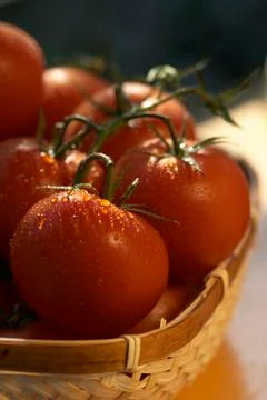 Tomato's basket Stock Photos