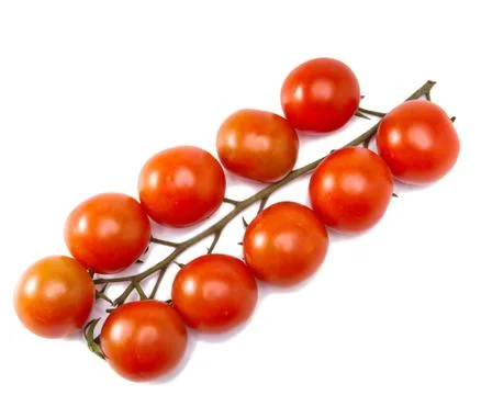 Tomatos branch Foto stock